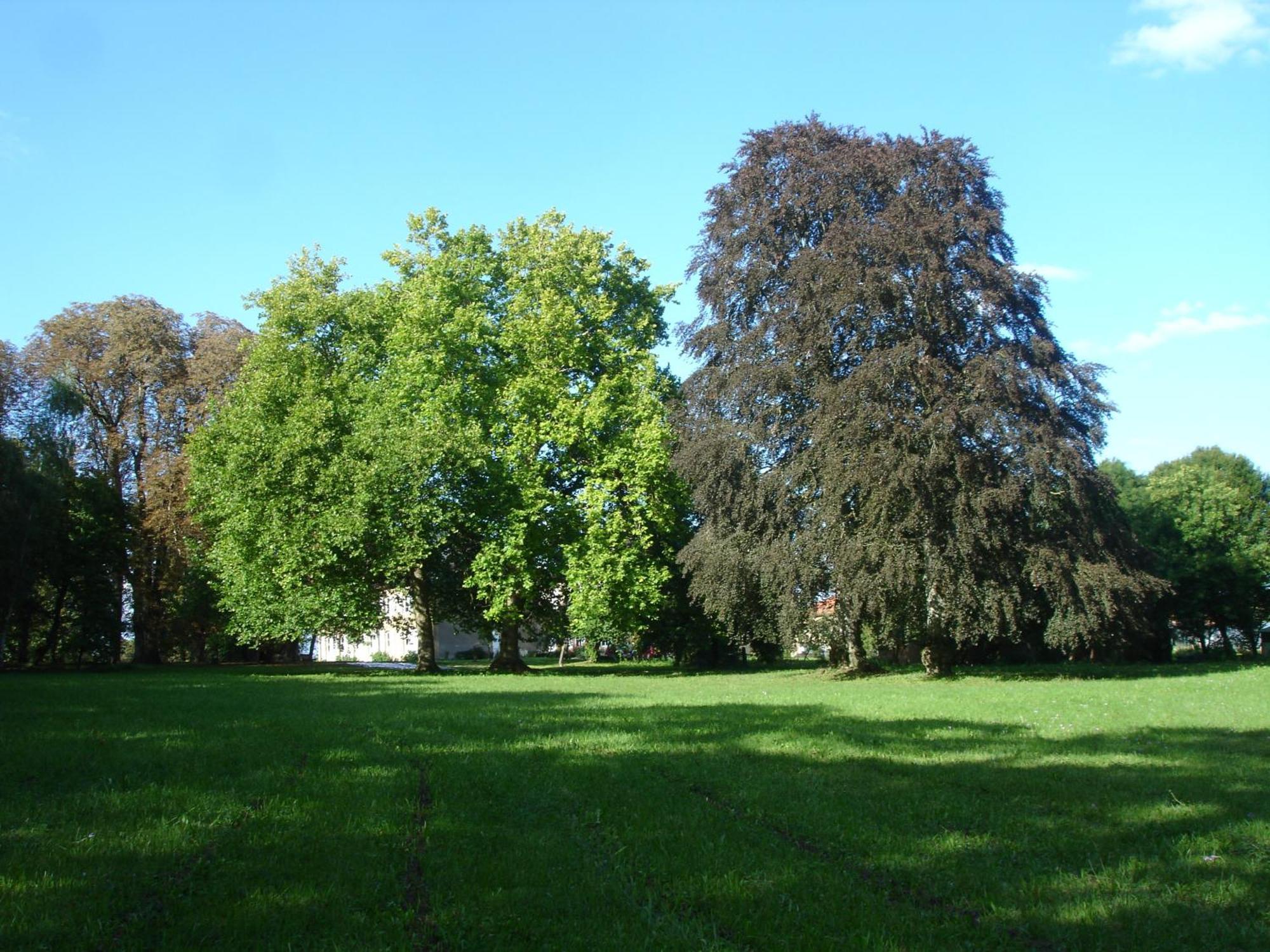 Maison D'Hotes Le Chateau De Puxe Esterno foto